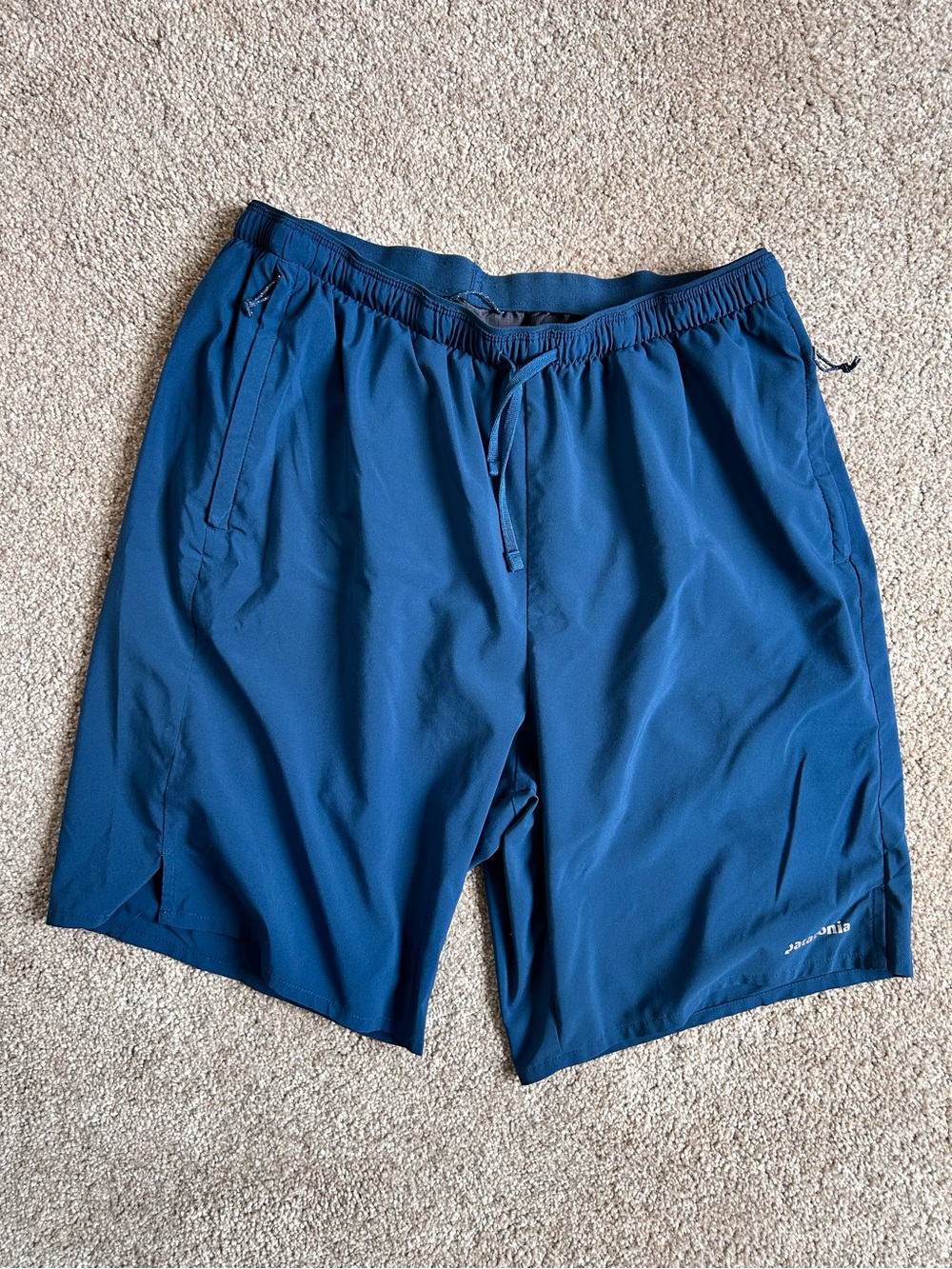 Patagonia Blue Athletic Shorts